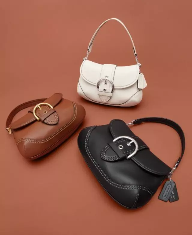 Coach Handbag Premium5
