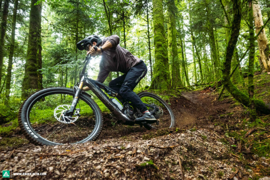 Exclusive Electric Bicycles 2025