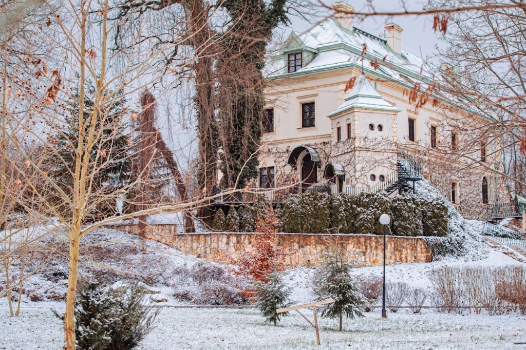 Odrowąż Palace in Winter