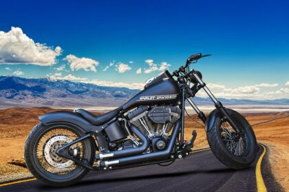 harley davidson problems