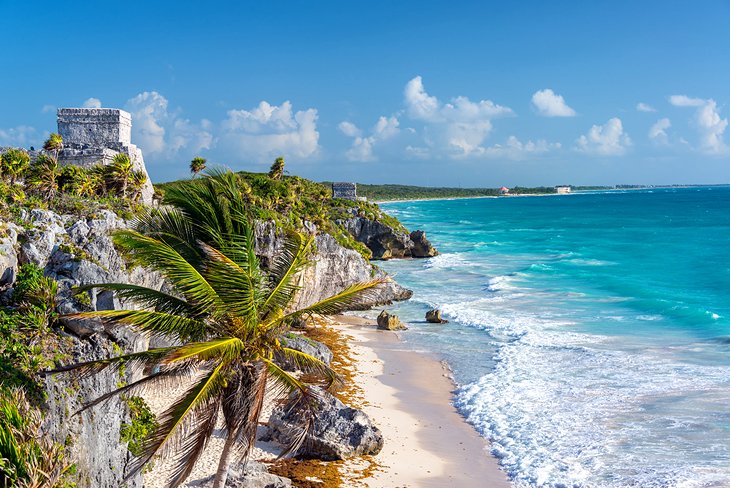 Journey to Mexico1