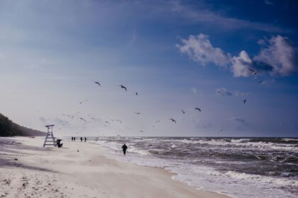 Winter Walks by the Sea Linea Mare