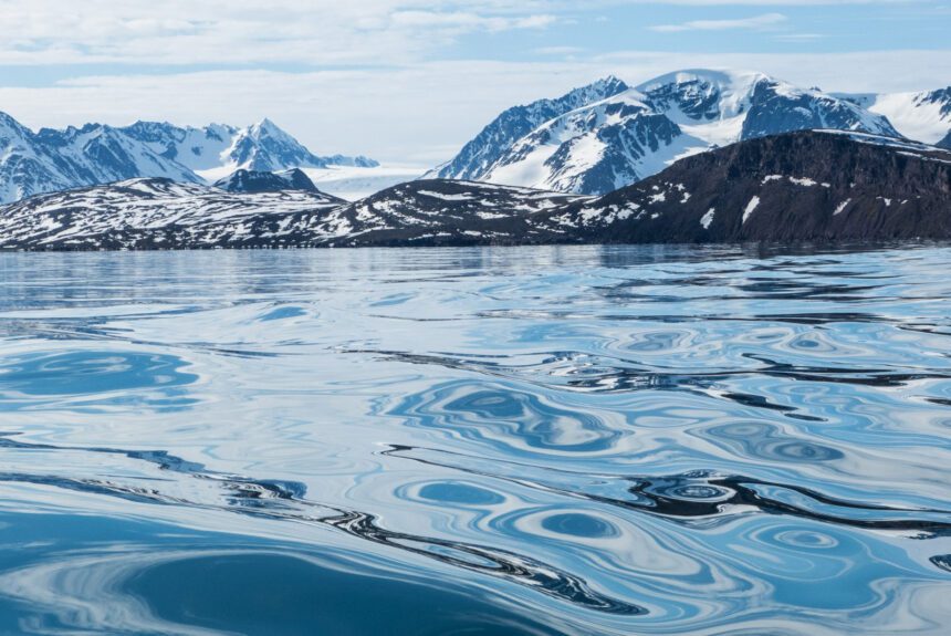 Arctic Fashion: How Luxury Tours Are Conquering the North