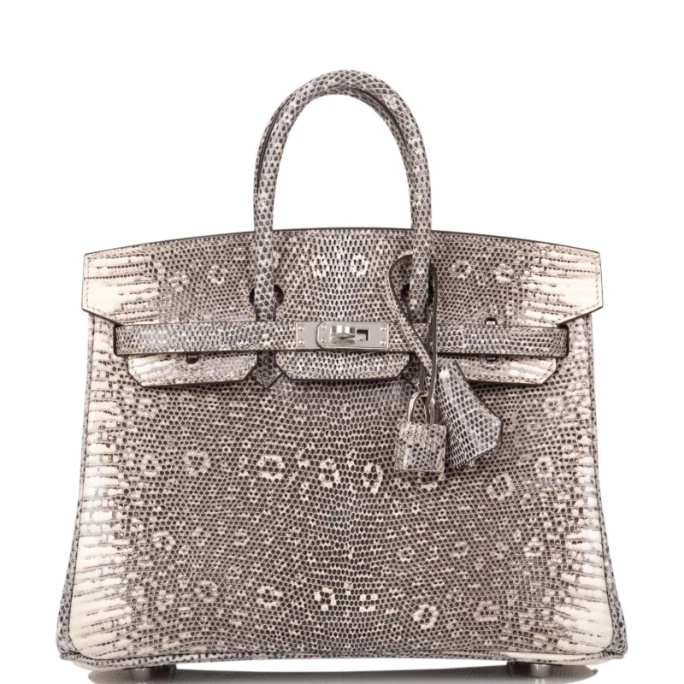 Hermes Vs Clients Birkin Bag5