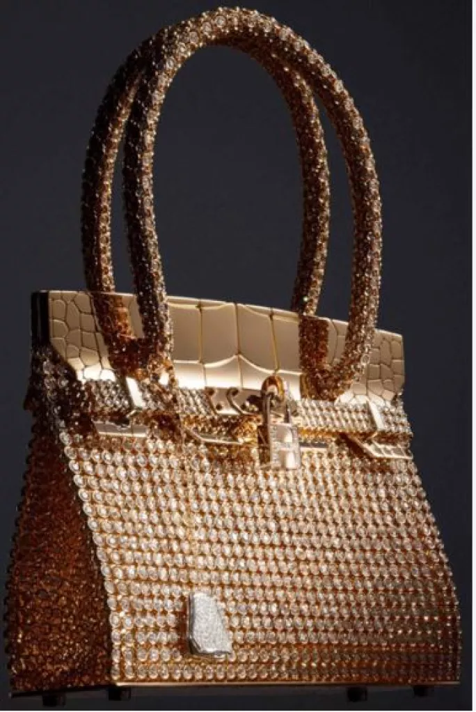 Hermes Vs Clients Birkin Bag6