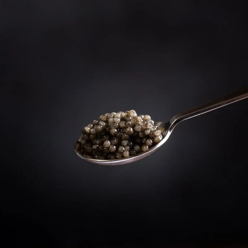 Sturgeon Caviar Blo