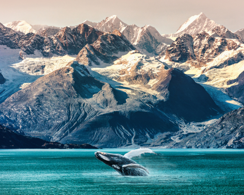 Luxury Cruise Along the Glacier Route1