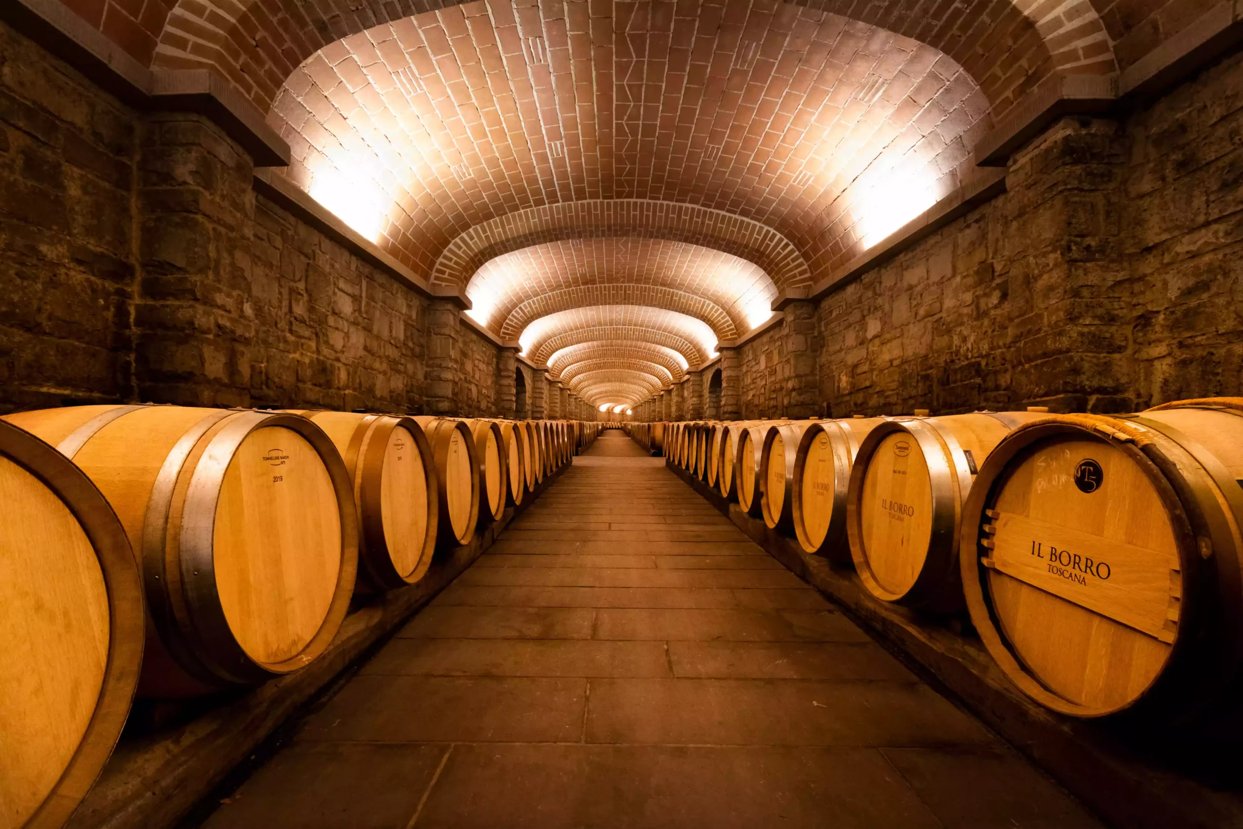 Vineyards In Tuscany Blog