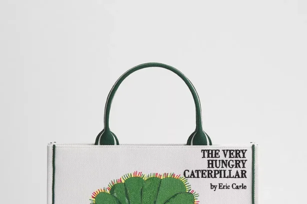 Dior Book Tote When a Book Becomes Fashion