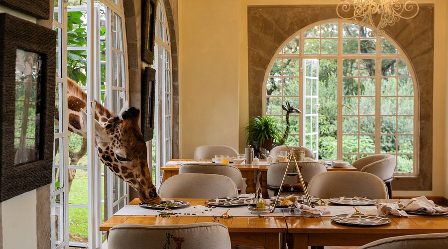 Top 5 Strangest Hotels in the World