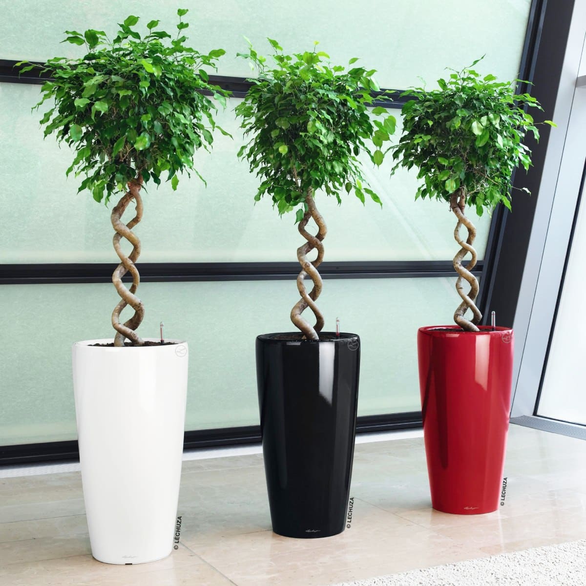 Branded XXL Planters