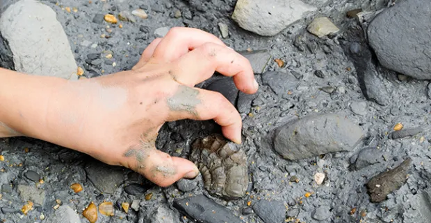 How to Invest in Fossils