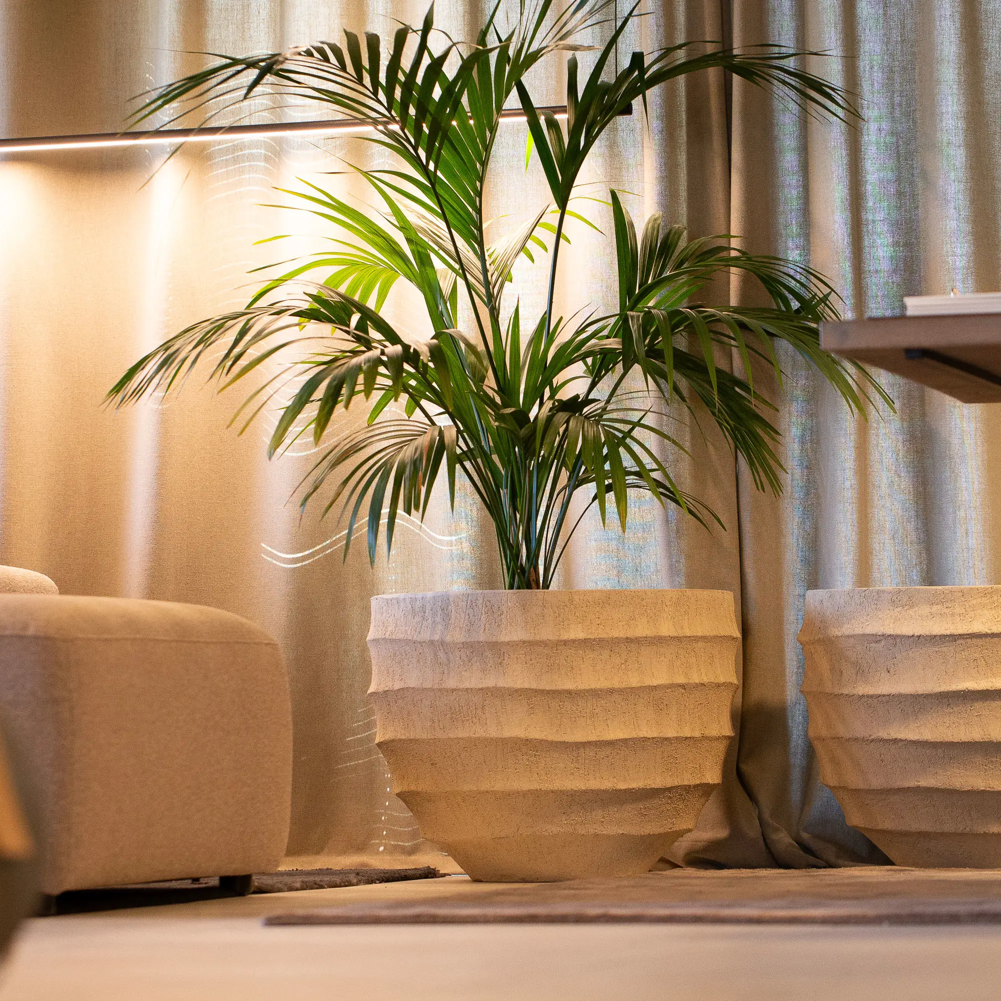 XXL Indoor Planters