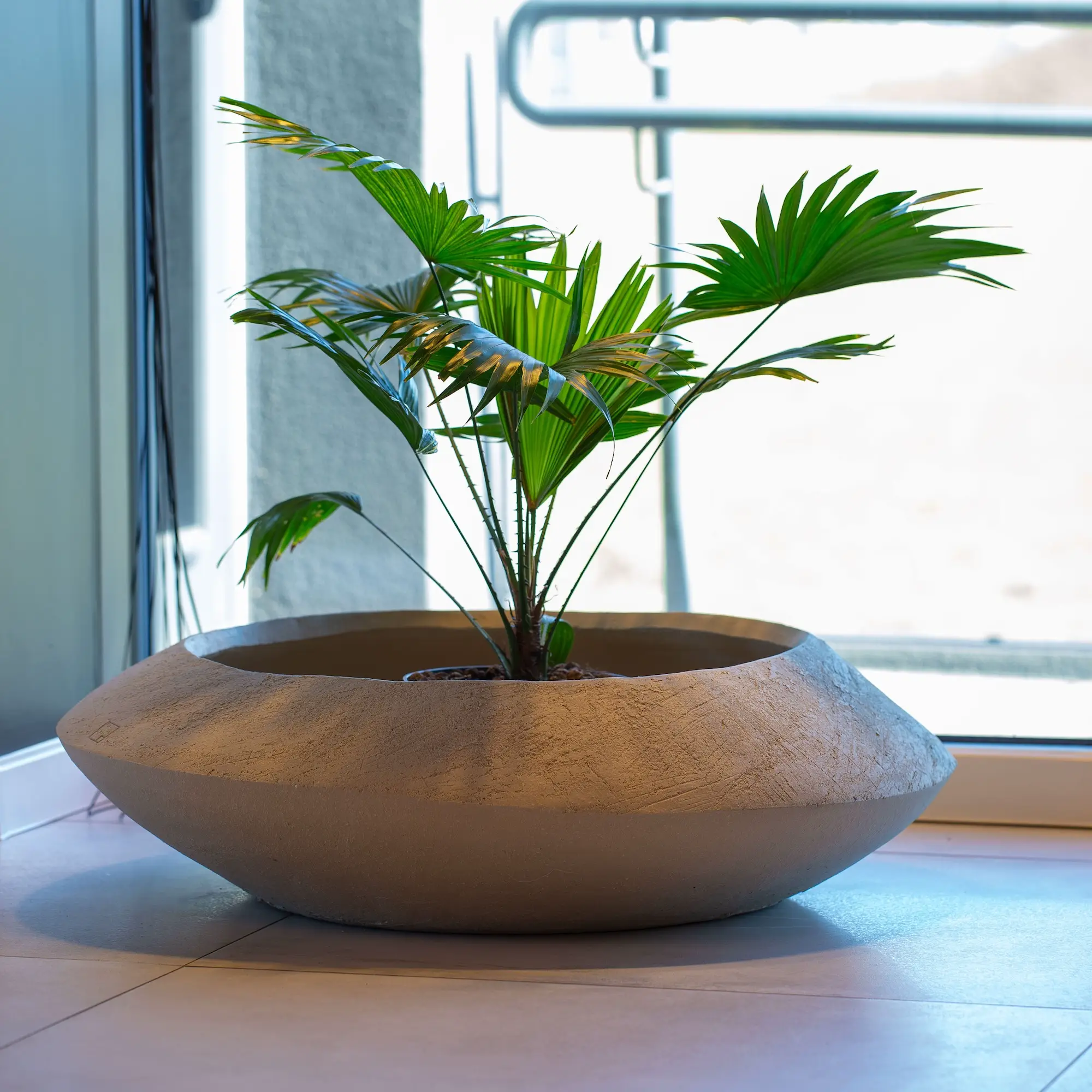 XXL Indoor Planters