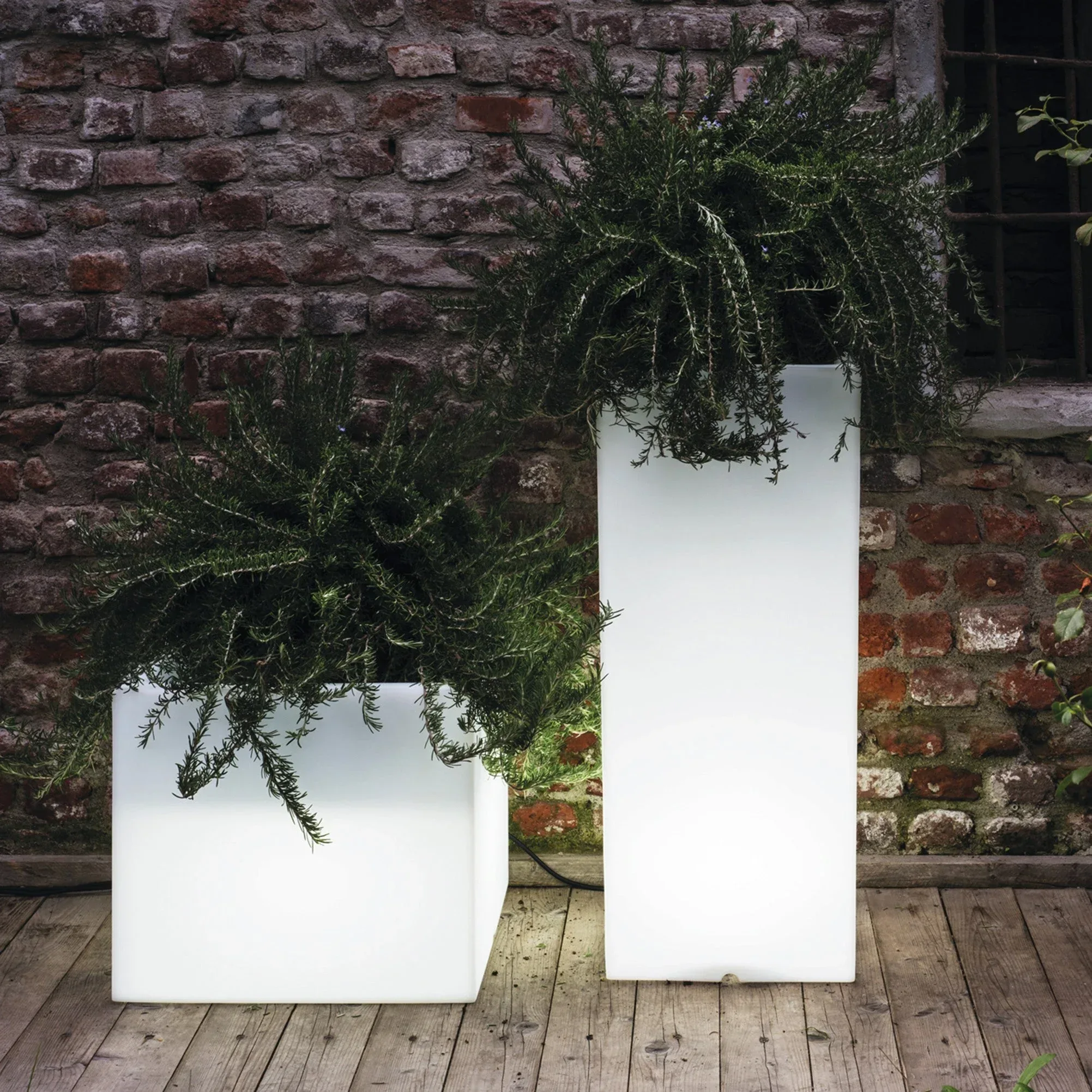 Xxl Planters