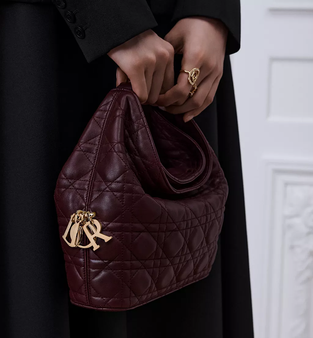 Burgundy Dior Bag
