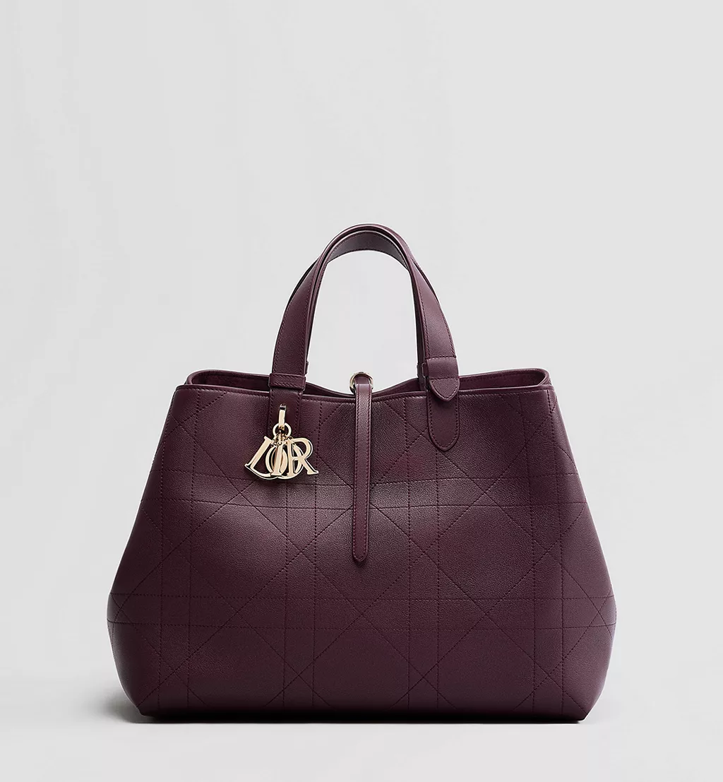 Burgundy Dior1 Bag
