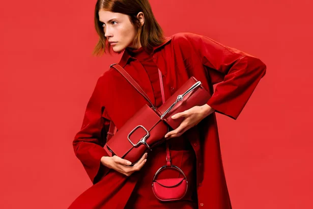 Burgundy Hermes Bag